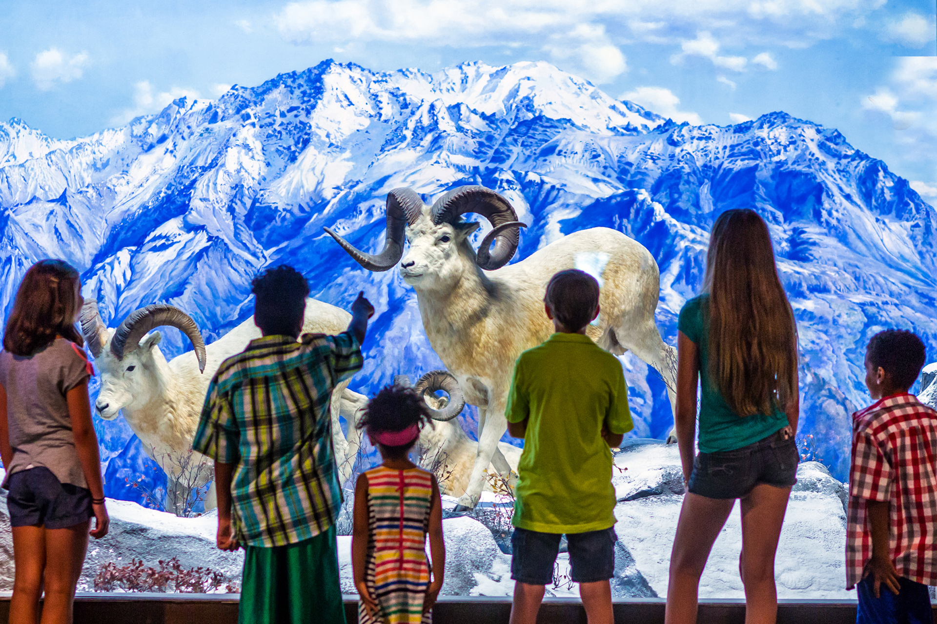 Sensory-Friendly Mornings - The Academy of Natural Sciences of Drexel  University